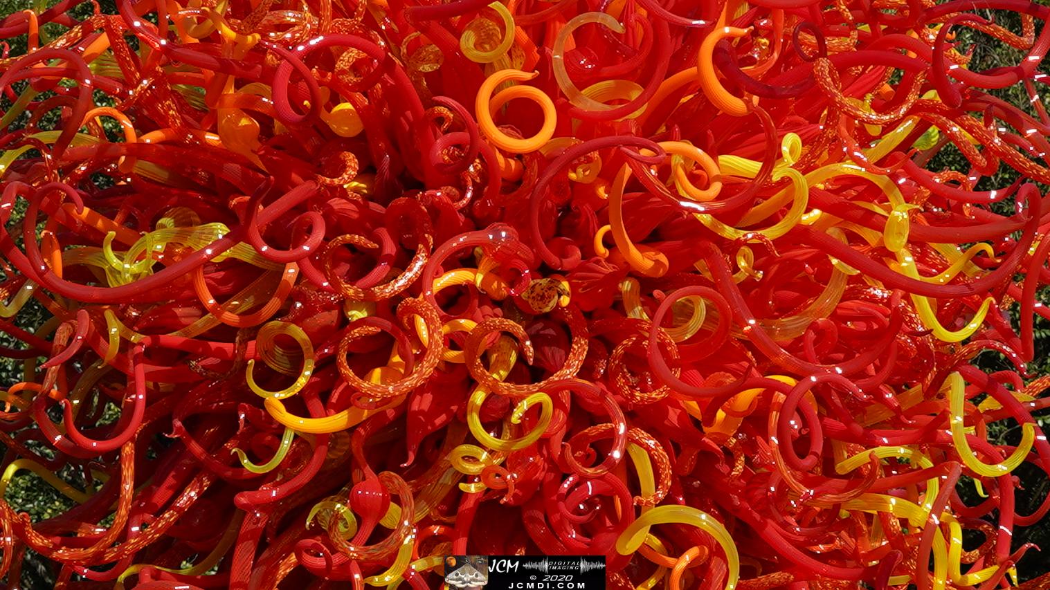 20200930 CheekWood Chihuly - Summer Sun curly tree